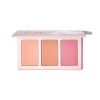 پالت رژگونه سه رنگ شیگلم مدل سوئیت چیکز sheglam sweet cheeks blush palette