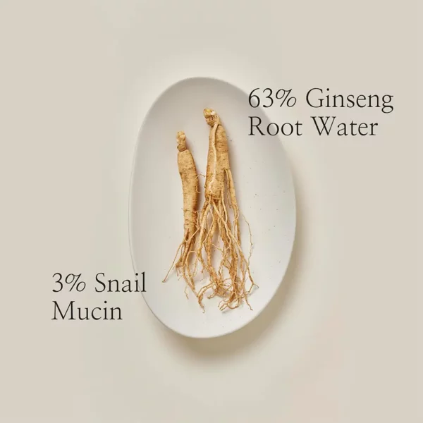 سرم جینسینگ و موسین حلزون بیوتی اف جوسان ترمیم و بازسازی کننده Beauty of Joseon Repair Serum Ginseng Snail Mucin - Image 3
