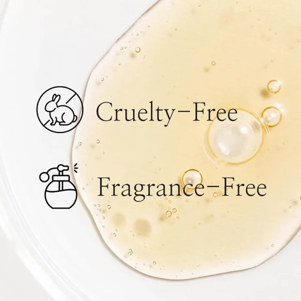 سرم جینسینگ و موسین حلزون بیوتی اف جوسان ترمیم و بازسازی کننده Beauty of Joseon Repair Serum Ginseng Snail Mucin - Image 5